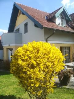 Vronis-Apartment - Stephanshart - 0