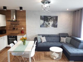 Apartamenty pod Dzikowcem - Boguszów-Gorce - 8