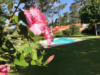 El Gauchito - Punta del Este - 7