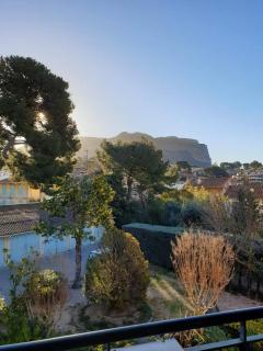 Le mimosa - Cassis - 9