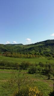 Nido D'Ape bed and breakfast - Montepetra - 3
