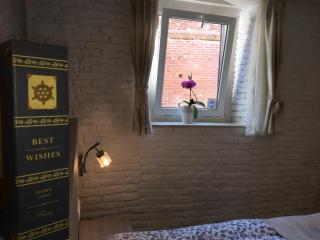 Brick Wall - Sibiu - 7