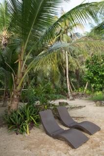 Residencia Natural - Bocas del Toro - 8
