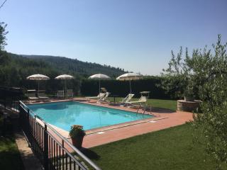 Agriturismo Borgo tra gli Olivi - Castiglion Fiorentino - 3