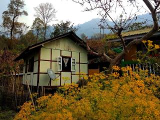VAMOOSE PARKHA SIKKIM - Rangli - 9