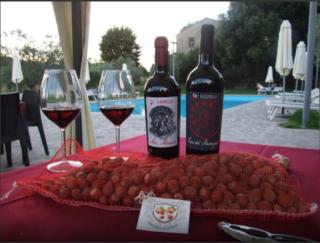 Agriturismo Il Marrugio - 7