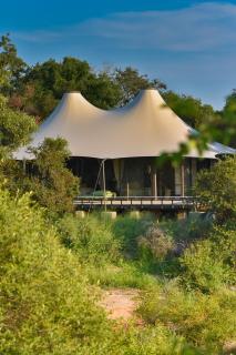Saseka Tented Camp - Hoedspruit - 6