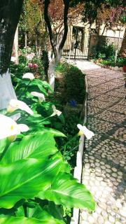 Katerina's apartments - Agios Gordios - 7