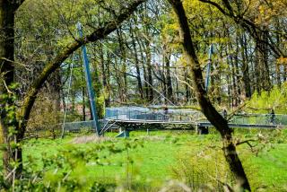 Waldhotel Schipp-Hummert - Emsdetten - 6