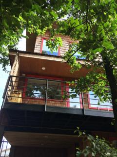 Almabosque Cabañas - 4