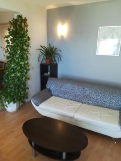 Apartman Leo - Brela - 4