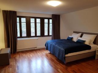 Oberwaldhaus - Darmstadt - 8