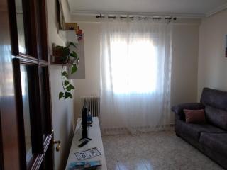 Manzanera, junto Ayuntamiento y Riojaforum - 6