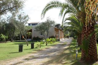 IRINI-APPARTEMENT - Kavos - 8