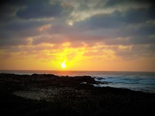Gourikwa Coastal Nature Reserve - Gouritzmond - 5