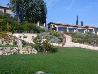 Tenuta Pizzogallo - Amelia - 1