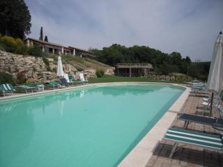 Tenuta Pizzogallo - Amelia - 7