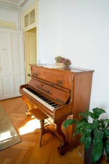 Pension Bienvenue (Women only) - Losanna - 6