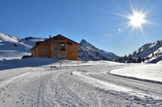 apart-wolf-arlberg - 0