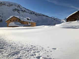 apart-wolf-arlberg - 1