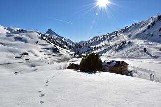 apart-wolf-arlberg - 7