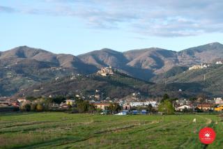 Fattoria Battilana - Marina di Carrara - 6