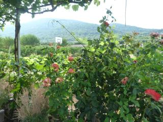 Country House Speedy - 4