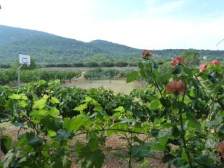 Country House Speedy - Komiža - 5