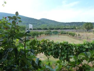 Country House Speedy - Komiža - 8