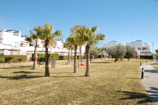 Condado de Alhama NARANJOS 7 SV85 - 5