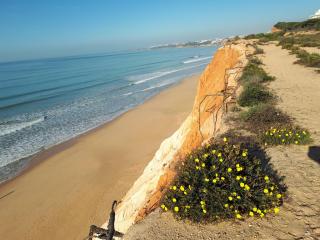 Apartamento Albufeira 6 B - Albufeira - 1