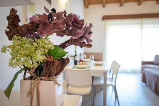 Agriturismo Tre Colline - Bardolino - 1