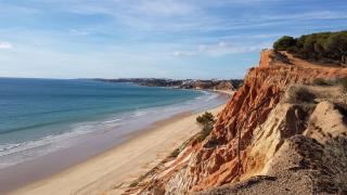 Apartamento Albufeira 6 B - Albufeira - 4
