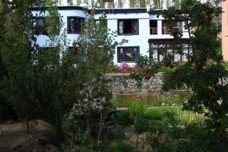 mandarava homestay - Leh - 4