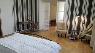 City Center Premium Belle Vue Apartments - Timişoara - 1