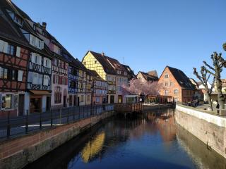 AU brochet - Colmar - 9