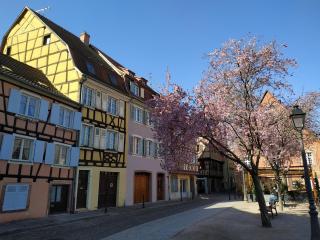 AU brochet - Colmar - 8