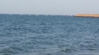 Leading Wings Beach Apartments - Sur - 5