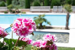 Le Bouquet de l Aromate - Joucas - 4