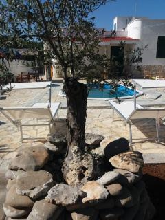 Villa Resilienza - 4