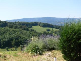 Gîte la Sapinière - Labaroche - 4