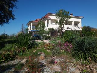 Casa Gaia - Serpins - 1