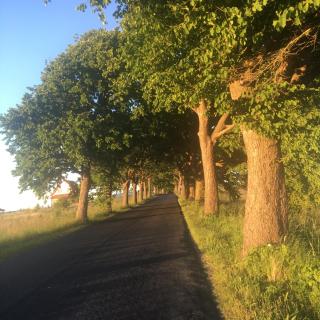 Agroturystyka Chłopy - 1
