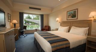 Holiday Inn Cordoba by IHG - 3