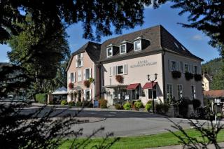 Logis Hotel Restaurant Muller - Niederbronn-les-Bains - 2
