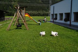 Apparthotel Stoanerhof - Uderns - 5