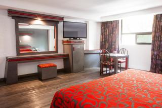 Hotel La Rosa - Sólo Adultos - Città del Messico - 6