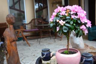 Art Styles Boutique Apartment Szentendre - Szentendre - 2