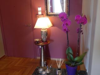 Athens-Plaka, Peter’s beautiful apartment in Temple of Zeus - Atenas - 5