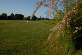 Rose Canine B&B - Cesenatico - 2